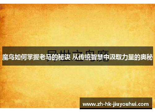 魔鸟如何掌握老马的秘诀 从传统智慧中汲取力量的奥秘