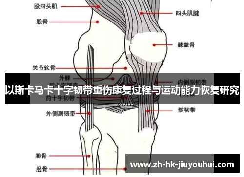 /uploads/images/20260613/yi-si-ka-ma-ka-shi-zi-ren-dai-zhong-shang-kang-fu-guo-cheng-yu-yun-dong-neng-li-hui-fu-yan-jiu.webp